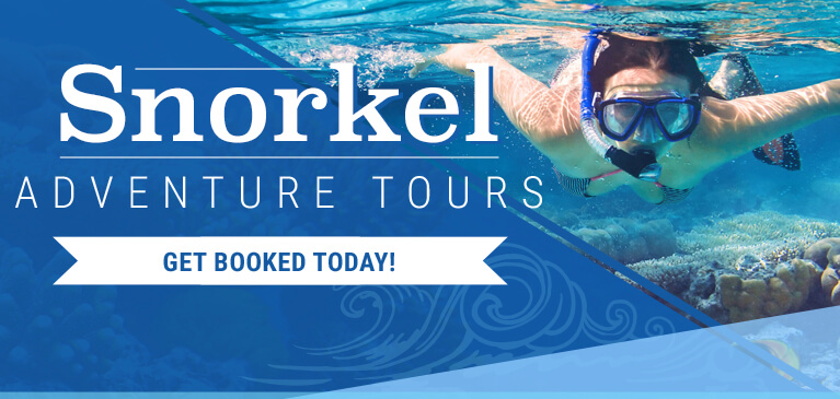 Jamaica Snorkeling Tours