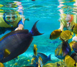 Snorkel Combo Tours